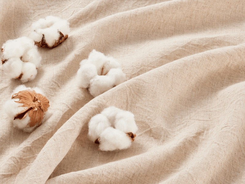Le coton, matériau très utilisé en confection textile